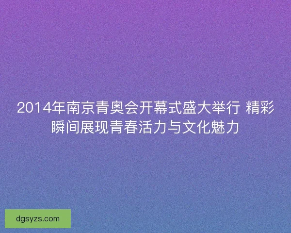 2014年南京青奥会开幕式盛大举行 精彩瞬间展现青春活力与文化魅力